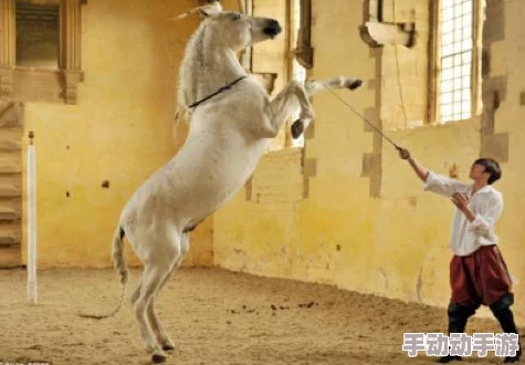 胸可以夹阴痉吗?探讨这一现象的生理机制与可能影响,揭示其对健康的潜在风险与应对策略 胸可以夹阴痉吗?探讨这一现象的生理机制与可能影响,揭示其对健康的潜在风险与应对策略