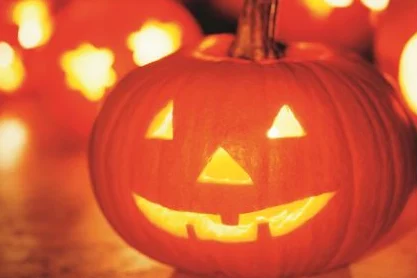 南瓜带你另眼看另外世界：通过南瓜的独特视角，发现一个充满奇幻与创意的新天地，让我们重新审视生活中的美好