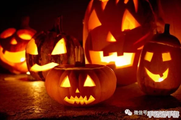 南瓜带你另眼看另外世界：通过南瓜的独特视角，发现一个充满奇幻与创意的新天地，让我们重新审视生活中的美好