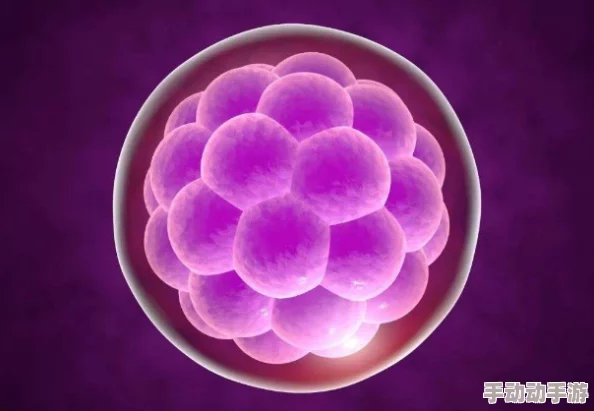 126：震惊！全球首个成功克隆人类胚胎诞生，科学界引发热议与伦理争论！