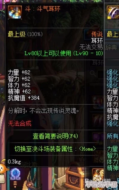 DNF游戏中耳环装备具体对应的角色装扮部位解析