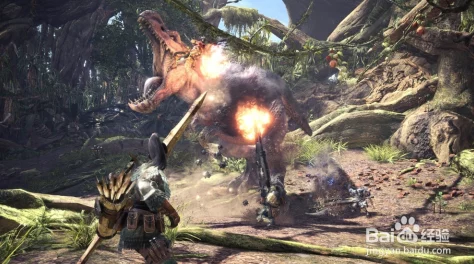 怪物猎人游戏中，轻弩使用者应如何选择最佳护士角色分析