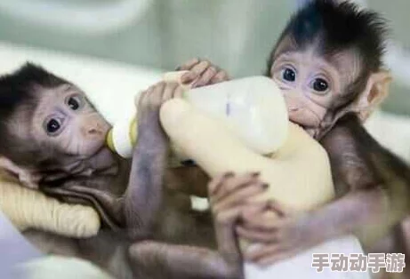 撸撸*:震惊!全球首个成功克隆人类胚胎诞生,科学界引发热议与伦理争论! 撸撸*:震惊!全球首个成功克隆人类胚胎诞生,科学界引发热议与伦理争论!
