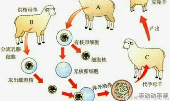 撸撸*:震惊!全球首个成功克隆人类胚胎诞生,科学界引发热议与伦理争论! 撸撸*:震惊!全球首个成功克隆人类胚胎诞生,科学界引发热议与伦理争论!