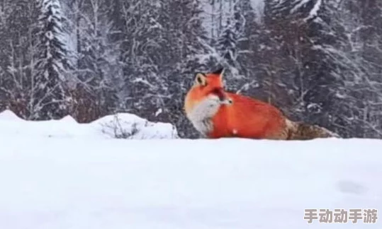 震惊!狐狸下面好紧h,竟然引发了网友们的热议与讨论,背后隐藏着怎样不为人知的故事? 震惊!狐狸下面好紧h,竟然引发了网友们的热议与讨论,背后隐藏着怎样不为人知的故事?