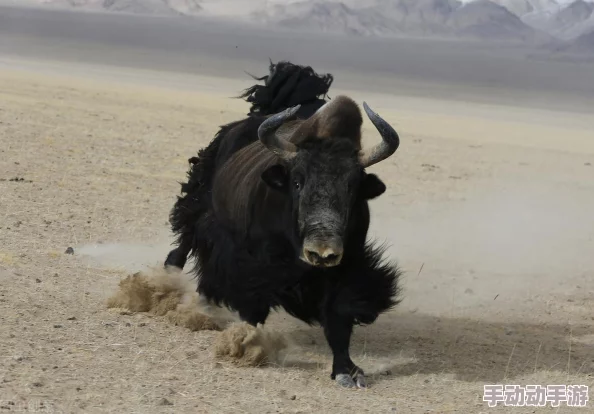 魔兽争霸中攻击之爪+15在哪个地图掉落详解