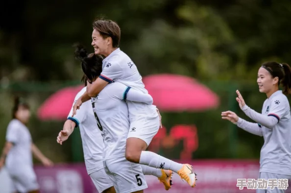 《激战狂潮》深度解析：英雄岚的壮阔背景故事与独特设定介绍