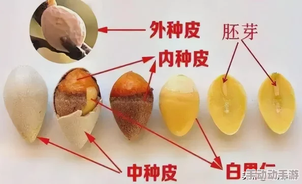 黄色无遮挡：震惊！某知名品牌竟然在广告中使用不当元素，引发社会广泛讨论与争议！