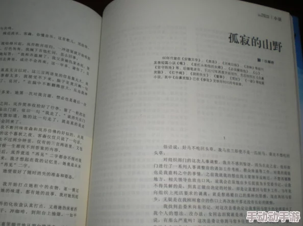 乱小说录目伦500：网友热议其内容与风格，认为作品大胆创新，但也有人对其情节设定表示质疑
