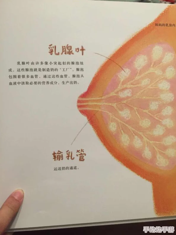 小说h乳喷榨乳奶水这是一部描写女性身体变化和情感体验的小说