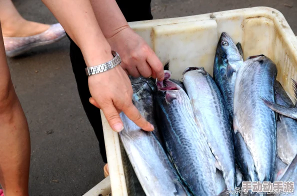 吕总扣鱼鳃的三个步骤首先，吕总会用手轻轻按压鱼鳃，使其张开；接着，他会迅速将鱼鳃内侧的薄膜撕下；最后，他会仔细检查并清理残留物，确保鱼的新鲜度和口感