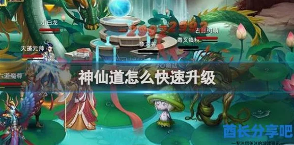 惊喜！揭秘神仙道强攻策略：高效攻略告诉你所需仙令远低于预期值，仅需XX个！