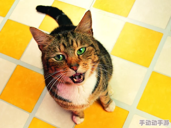 他疯狂的吸着她奶水新鲜事是小明在家养了一只可爱的猫咪 他疯狂的吸着她奶水新鲜事是小明在家养了一只可爱的猫咪