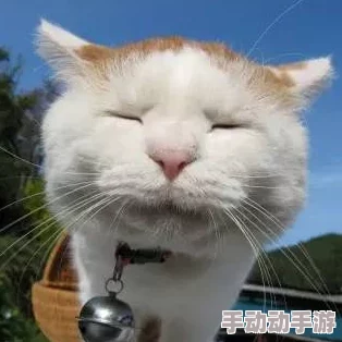 他疯狂的吸着她奶水新鲜事是小明在家养了一只可爱的猫咪 他疯狂的吸着她奶水新鲜事是小明在家养了一只可爱的猫咪