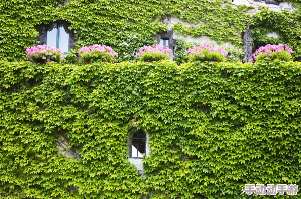 亚洲男人天堂网站爬山虎 亚洲男人天堂网站爬山虎