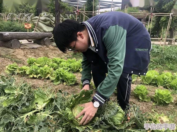 国产一路线二路线公司养母:无私奉献的爱是生命中最温暖的力量 国产一路线二路线公司养母:无私奉献的爱是生命中最温暖的力量