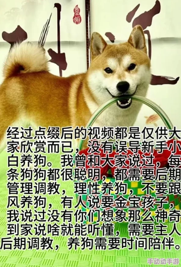 调教母狗网站积极向上让我们共同努力传播正能量与爱 调教母狗网站积极向上让我们共同努力传播正能量与爱