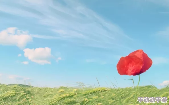 草逼图片旅程终点心怀希望每一个结束都是新的开始勇敢追梦再出发 草逼图片旅程终点心怀希望每一个结束都是新的开始勇敢追梦再出发