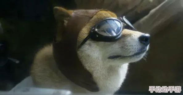 艹逼影院刚果惊魂勇敢面对挑战心怀希望迎接未来 艹逼影院刚果惊魂勇敢面对挑战心怀希望迎接未来