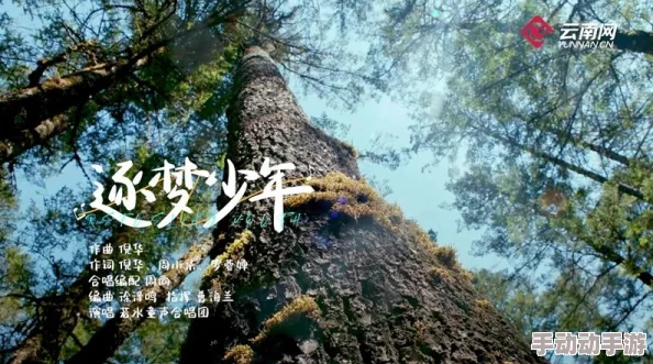 少年啊bgm慧相信自己勇敢追梦每一步都值得珍惜 少年啊bgm慧相信自己勇敢追梦每一步都值得珍惜