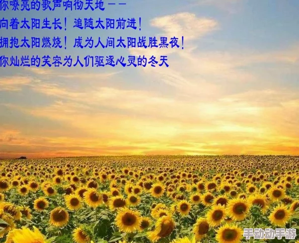 短篇乱岳肥芙蓉绽放美丽人生勇敢追梦心向阳光 短篇乱岳肥芙蓉绽放美丽人生勇敢追梦心向阳光