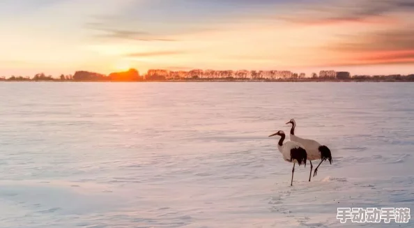 小雪把双腿打开给老杨看免费阅读积极向上，勇敢追求梦想，生活充满希望与美好