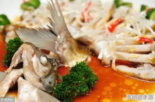揭秘惊喜!暗喻幻想白肉鱼药膳的独家制作方法大公开 揭秘惊喜!暗喻幻想白肉鱼药膳的独家制作方法大公开