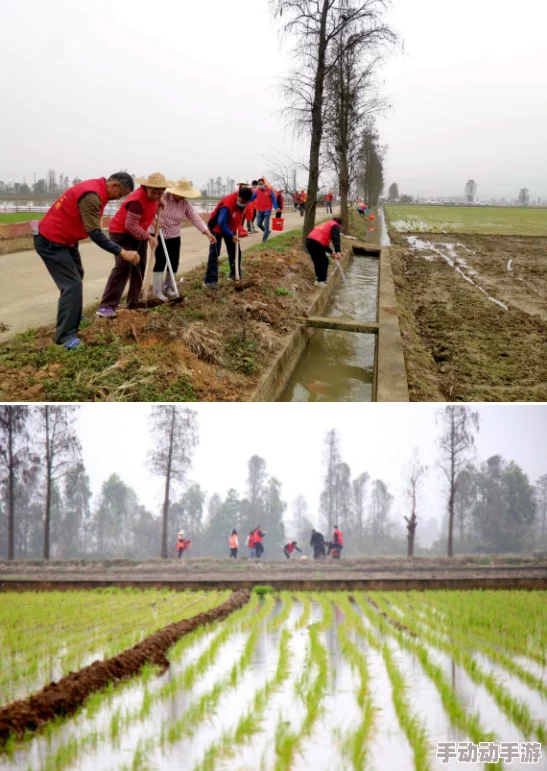 乱子伦农村xxxx"近日村民们积极参与生态环境保护活动,种植了500棵树苗,提升了村庄绿化水平 乱子伦农村xxxx"近日村民们积极参与生态环境保护活动,种植了500棵树苗,提升了村庄绿化水平