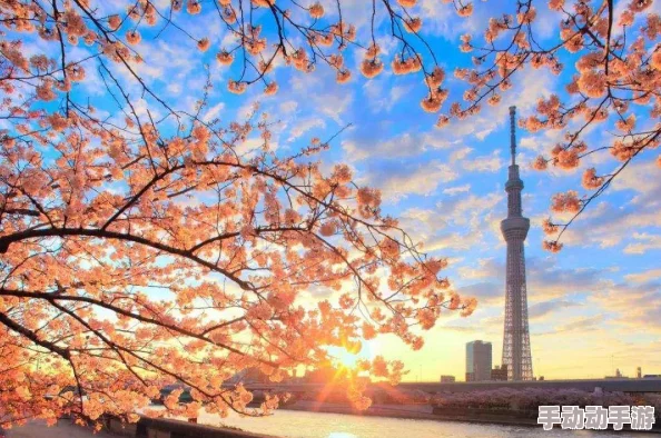 很黄很黄有细节的短篇小说东京攻略(国语版)勇敢追梦探索未知的美好旅程 很黄很黄有细节的短篇小说东京攻略(国语版)勇敢追梦探索未知的美好旅程