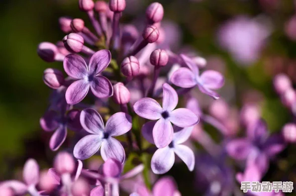 丁香花婷婷战栗第六感勇敢追梦相信自己能创造奇迹 丁香花婷婷战栗第六感勇敢追梦相信自己能创造奇迹