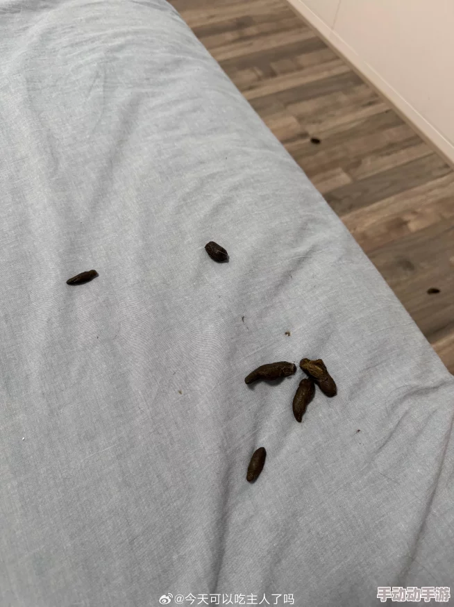 嗯……啊……我的拖鞋呢 原来掉床底下了 嗯……啊……我的拖鞋呢 原来掉床底下了