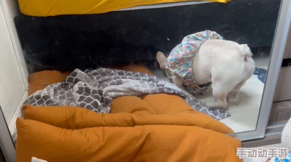 嗯……啊……我的拖鞋呢 原来掉床底下了 嗯……啊……我的拖鞋呢 原来掉床底下了