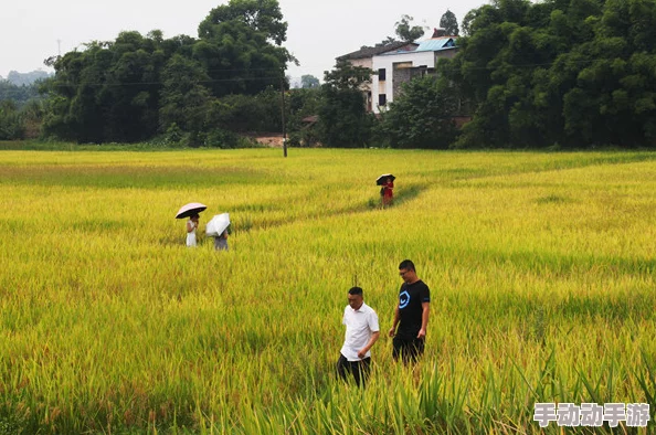 春野小神农改良药田土壤获得丰收引来各方关注 春野小神农改良药田土壤获得丰收引来各方关注