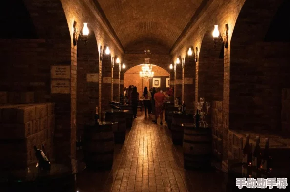 日本妇人成熟免费中文字幕已更新至1080P高清版本并新增花絮