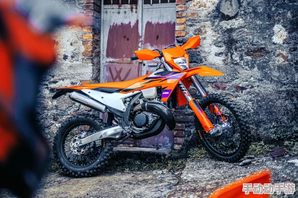 2024航海王强者之路：最新耐力获取途径全攻略分享