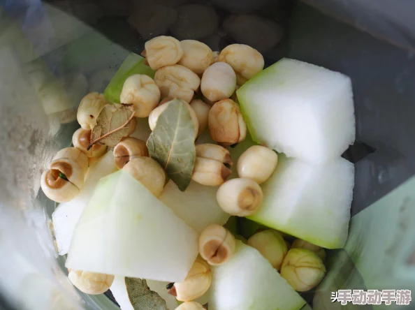 明日之后最新热门道具：泡水的相机获取方法全解析