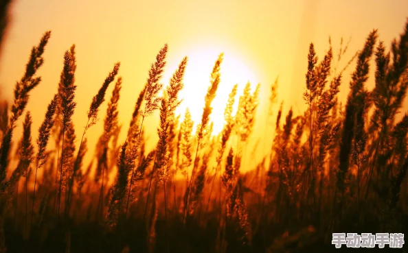 姜罚小说鹤舞邙山心怀梦想勇敢追逐未来希望