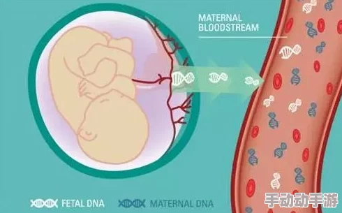 如果我怀了我儿子的孩子怎么办DNA检测结果显示孩子父亲另有其人 如果我怀了我儿子的孩子怎么办DNA检测结果显示孩子父亲另有其人
