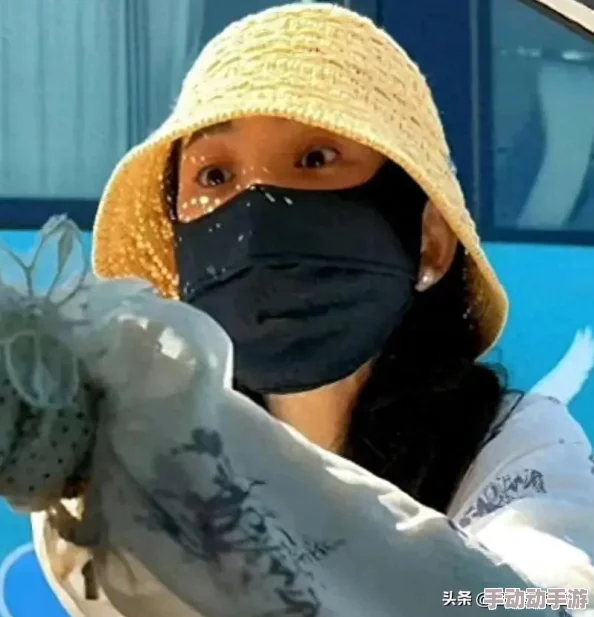 2024热门横冲直撞魔法输出英雄全面盘点与深度解析