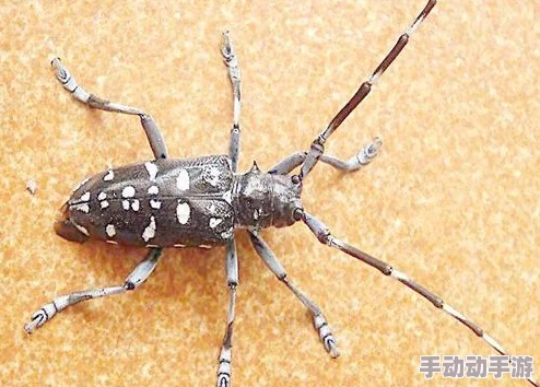 天牛图库天牛彩报第三版293期图生活充满希望勇气让你更坚强笑容是你最好的名片