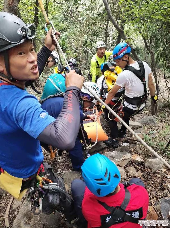 4虎的网名寻找新的灵感尝试不同风格的昵称