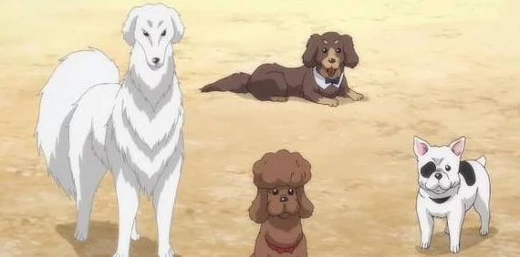 当人类最强转生成狗最强高中生转生成可爱的狗狗开启爆笑日常 当人类最强转生成狗最强高中生转生成可爱的狗狗开启爆笑日常