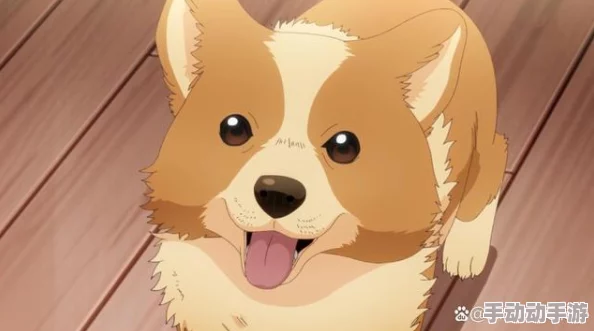 当人类最强转生成狗最强高中生转生成可爱的狗狗开启爆笑日常 当人类最强转生成狗最强高中生转生成可爱的狗狗开启爆笑日常