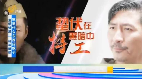 津门飞鹰40集完整版在线看爱奇艺高清修复版震撼来袭重温经典谍战传奇 津门飞鹰40集完整版在线看爱奇艺高清修复版震撼来袭重温经典谍战传奇