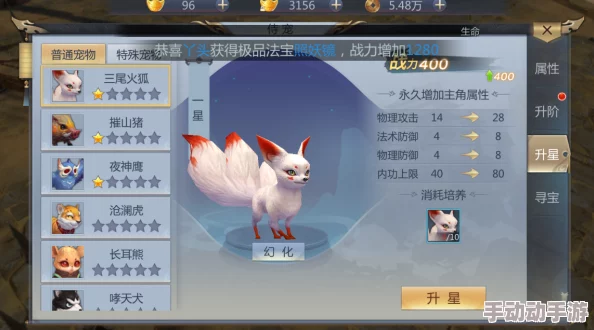 天生不凡游戏攻略：最新侍宠玩法揭秘与获取指南