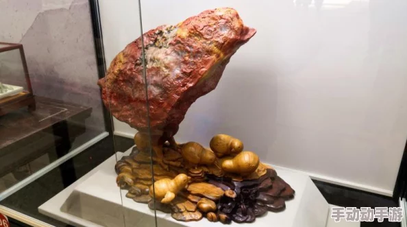 疯狂动物园帽子图鉴大全：小鸡帽款热门新潮流解锁