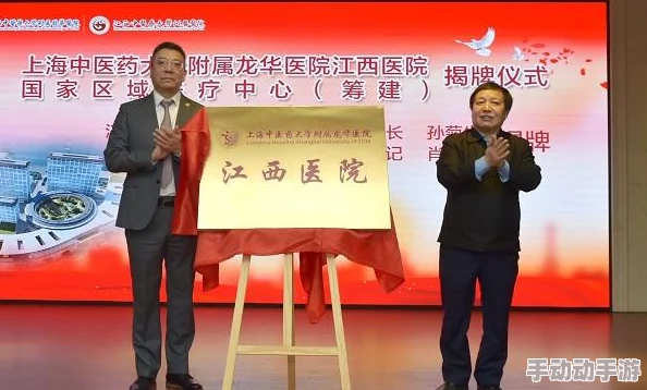 航海王启航:2024最新开局英雄选择全攻略 航海王启航:2024最新开局英雄选择全攻略