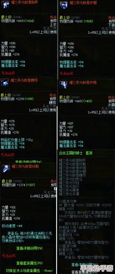 DNF奶妈角色深度解析防具上衣哪个更适合提升辅助能力