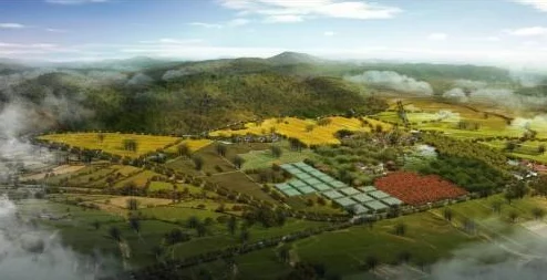 《心动小镇手游》家园评定深度解析与提交指南 《心动小镇手游》家园评定深度解析与提交指南