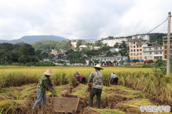 金秋赛场燃情对决,《街头足球》飒爽女前锋精准极射,震撼破门瞬间解析 金秋赛场燃情对决,《街头足球》飒爽女前锋精准极射,震撼破门瞬间解析